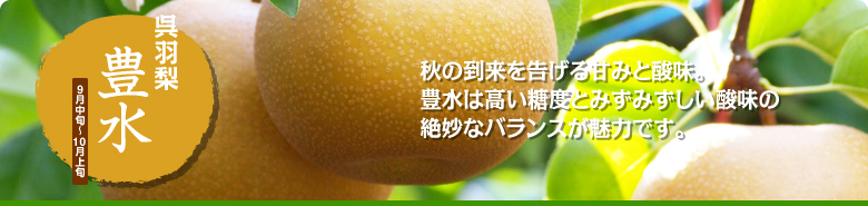 呉羽梨 豊水 呉羽梨 幸水 豊水 新高 あきづき の生産からネット販売 直売まで 富山の倉川梨園